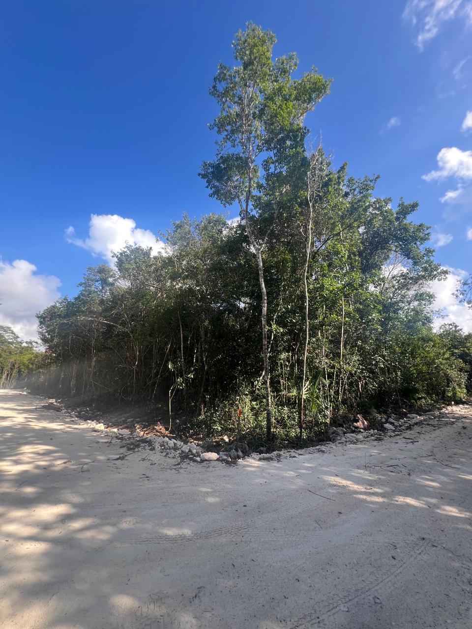 lotes 1000m2 4